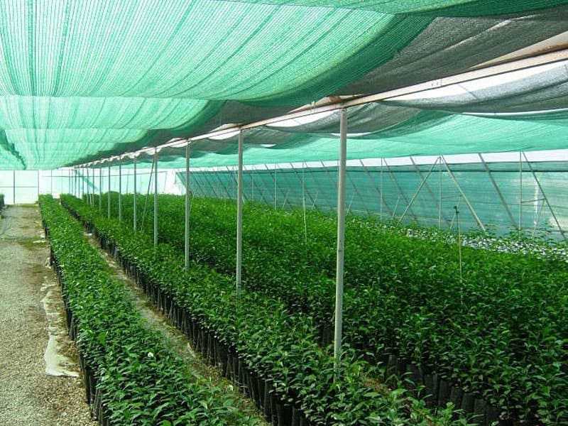 Lưới che nắng cho cây Lưới che nắng cho cây