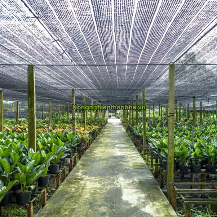 Lưới chống nắng cho cây trồng Lưới chống nắng cho cây trồng
