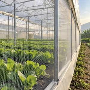 Màng lưới nhà kính lắp trên khung vườn để che chắn khu trồng