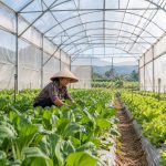 Bạt nhà kính: Cách chọn vật liệu phủ phù hợp cho vườn trồng