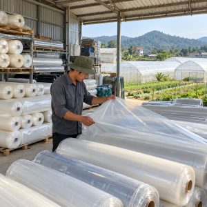 Bán lẻ màng nhà kính theo khổ cuộn chuẩn bị giao cho khách