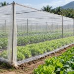 Màng lưới trồng rau: Cách chọn loại và lắp đúng nhu cầu