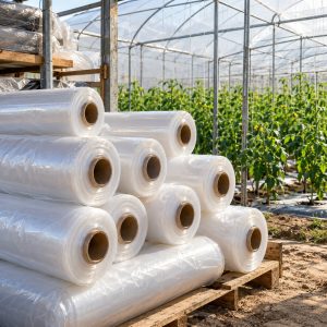 Làm nhà màng giá rẻ với khung vòm và màng phủ nông nghiệp