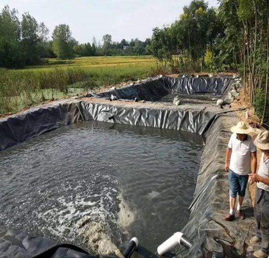 Bạt nuôi cá HDPE chống thấm hồ