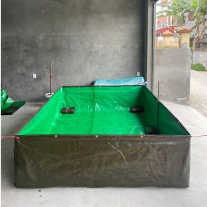 Bể bạt nuôi cá 4mx2m