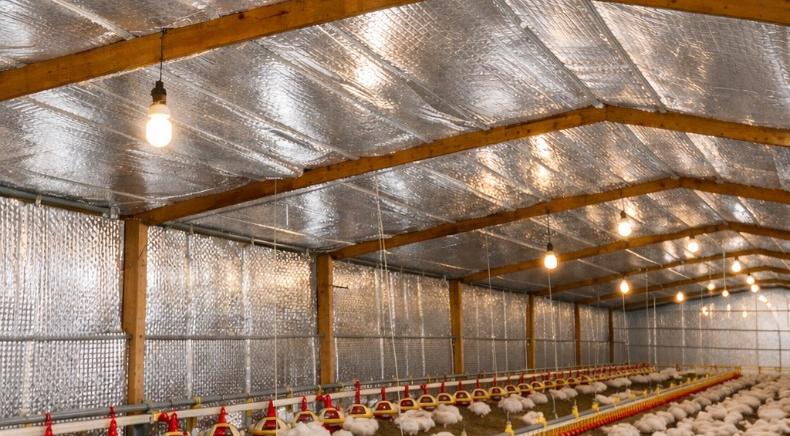 Giá bạt trần cách nhiệt cho chuồng trại Giá bạt trần cách nhiệt cho chuồng trại