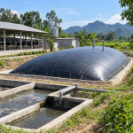 Hầm biogas phủ bạt HDPE: chọn màng và túi ủ an toàn